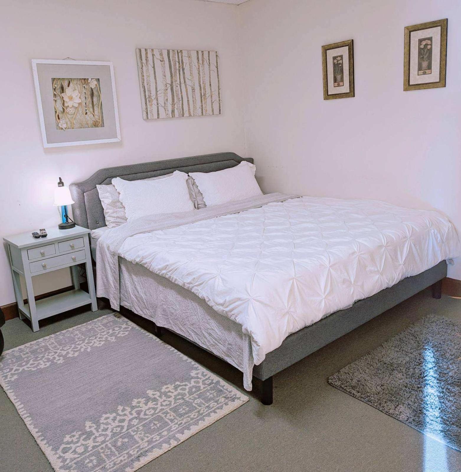 Uptown Area, Cozy King Suite, Quiet And Private, Free Parking, Walk To Restaurants Charlotte Exterior foto